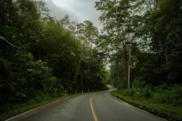 stock image A rural road winds through a serene mountain vista, bordered by lush green forest under a blue sky at dawn in Doi Phuka National Park, Nan Province, Thailand