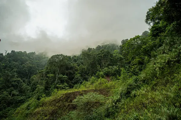 stock image  serene mountain vista, bordered by lush green forest under a blue sky at dawn in Doi Phuka National Park, Nan Province, Thailand