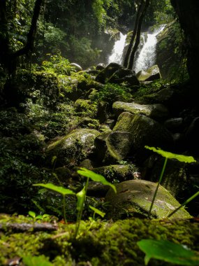 Nan 'ın Boklua ilçesindeki Sapun Köyü' nde dönen Şelale, kristal berrak suların yoğun ve canlı ormanlarla çevrili yosun kaplı kayaların üzerinde aktığı ve sakin bir geri çekilme sunan gizli bir cennettir.