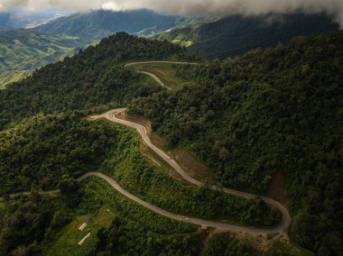  Berrak dağ manzarası, yemyeşil ormanlarla çevrili mavi gökyüzünün altında şafak vakti 