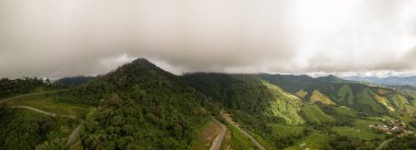  Berrak dağ manzarası, yemyeşil ormanlarla çevrili mavi gökyüzünün altında şafak vakti 