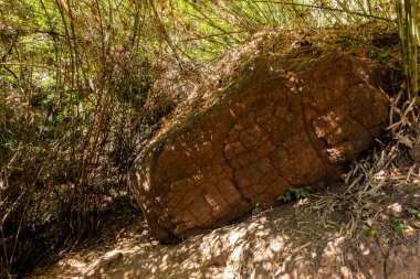Mağaranın güzel manzarası, yakın görüş.