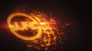 LUNC şifreleme madeni para kavramı