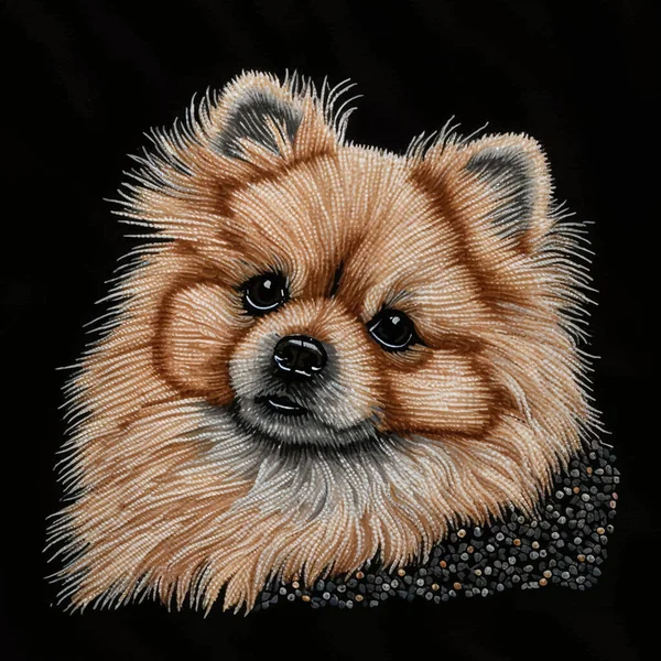 Pommerscher Hund Wandteppich Texturierte Schöne Welpenporträt Stickerei Dekorative Muster Hintergrund — Stockvektor