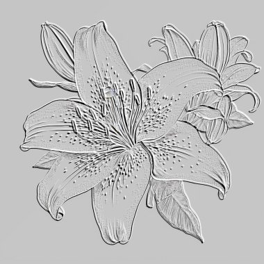 Zambak çiçeği. 3 boyutlu kabartmalı çiçek deseni. Güzel desenli çiçek rahatlama arka planı. Kabartma beyaz arka planı tekrarla. Yüzey zambakları çiçekleri. Kabartma efektli 3D çizgili çiçek süsü. 