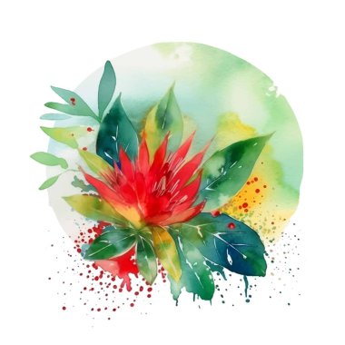 Suluboya çiçekli tropikal kırmızı egzotik çiçek deseni. Kirli arka plan suluboya vektörü. El çizimi yeşil dallar, yapraklar, sıçramalar. Modern sanatsal tropik süs. Kart. Element. İzole edilmiş.