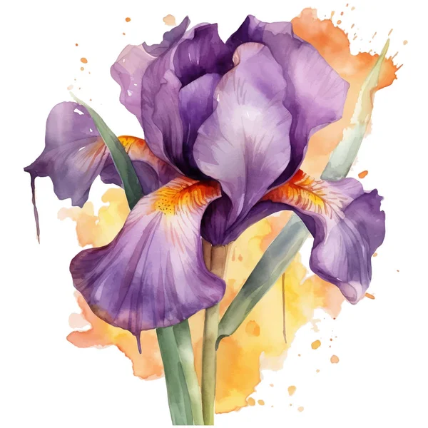 Acuarela Hermoso Patrón Flores Iris Violeta Sucio Manchado Acuarela Vector — Archivo Imágenes Vectoriales