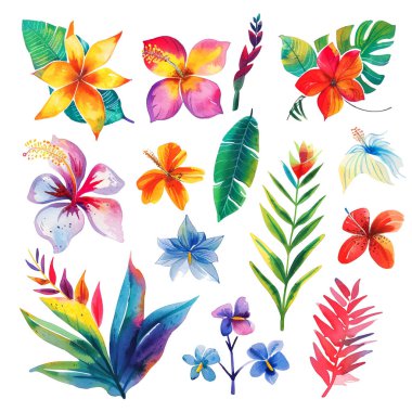 Suluboya el, tropikal egzotik çiçekler, dallar ve yapraklar çizdi. Avuç içi çizimi, canavar yaprakları koleksiyonu. Beyaz arka planda izole boyanmış botanik tasarımı. Grunge dokusu. Elementler.