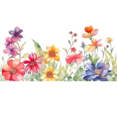 Yatay sınır kompozisyonunda yabani bahçe çiçekleriyle suluboya vektör deseni çizimi. Düğün davetiyeleri, tebrik kartları, bahar dekorasyonu, tekstil tasarımı, ambalaj, afişler için mükemmel..