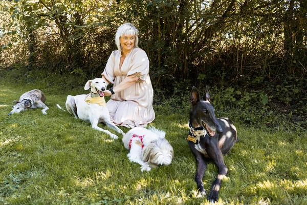 Happy woman enjoying the company of her pets in the garden with her three greyhounds and a terrier.