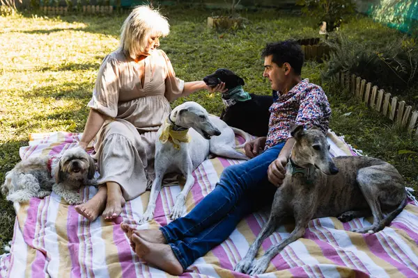Married Couple Sitting Countryside Enjoying Pets Greyhounds Terrier — Foto de Stock