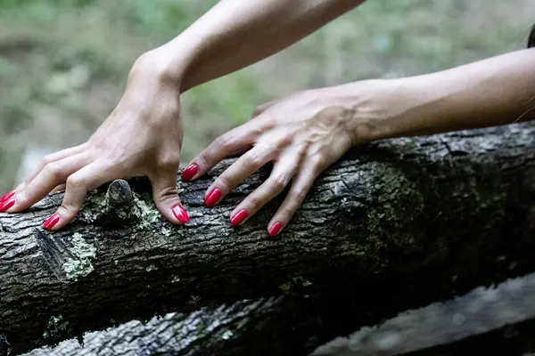 森のログに赤い爪で女性の手の写真 — ストック写真
