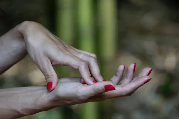 森の背景を持つ赤い爪で美しい女性の手 コピースペース — ストック写真