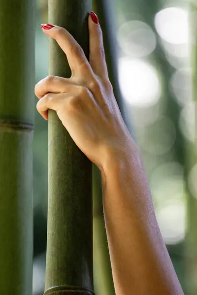 Woman manicure red hand clutching bamboo, vertical photo