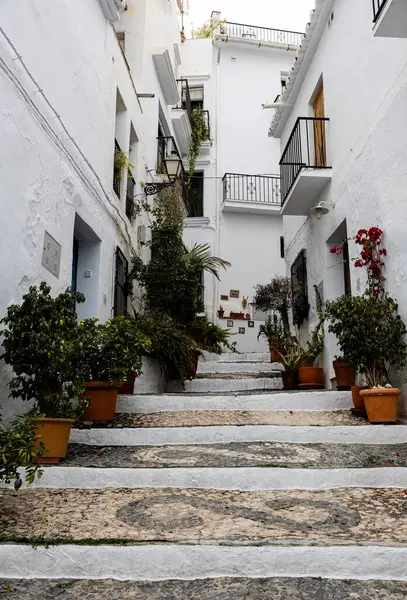 Una Pintoresca Escalera Flanqueada Por Edificios Blancos Macetas Pintoresco Pueblo —  Fotos de Stock