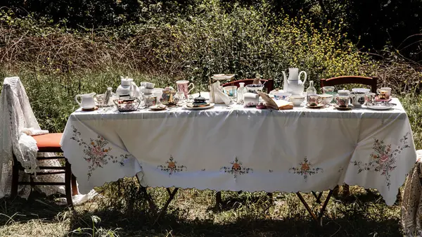 Açık Hava Çay Partisinin Kırsal Cazibesine Kapılıp Çeşitli Antika Çay — Stok fotoğraf
