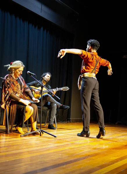 Erkek Flamenko Dansçısı Sahneyi Anlamlı Bir Poziyonla Yönetiyor Oturmuş Müzisyenler — Stok fotoğraf