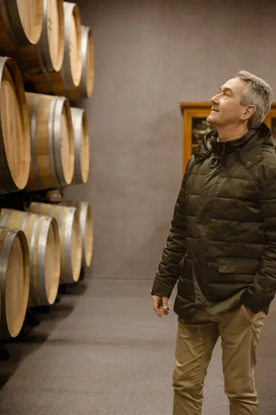 熟練したワインメーカーは 高級ワインの老朽化プロセスを評価し オーク樽の中に立っています — ストック写真