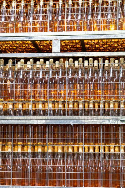 Rader Bärnstensfärgade Txakoli Vinflaskor Visar Upp Det Rika Arvet Och — Stockfoto