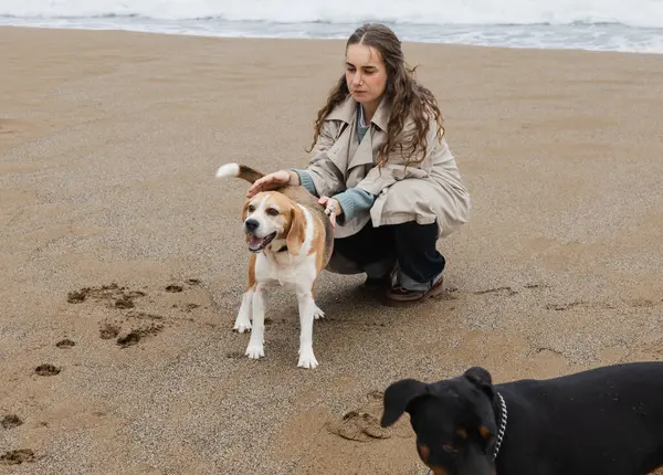 Okyanus kıyısında mutlu köpeğini sevmek için çömelmiş bir kadın.
