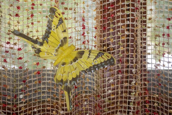 Żółty Motyl Kolorowych Tiulu Siatki — Zdjęcie stockowe