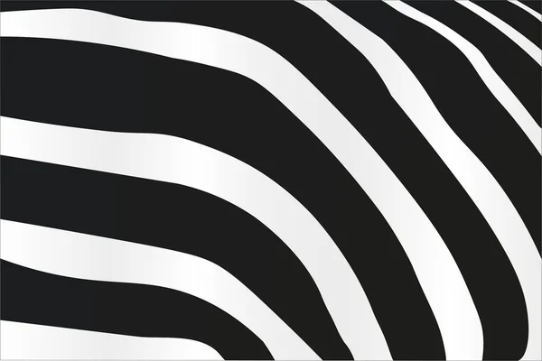 Black White Zebra Pozadí Pozadí Černá Bílá Zebra Abstraktní Černobílé — Stockový vektor