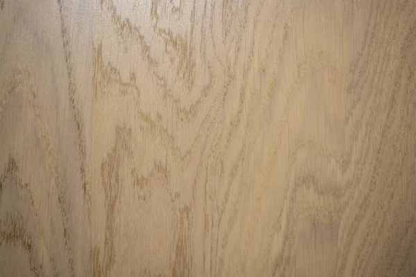 Hintergrund Holzstruktur Mit Adern Von Hellbrauner Farbe Hintergrund Des Baumes — Stockvektor