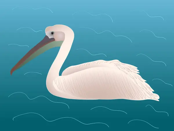 Ein Einsamer Rosafarbener Pelikan Schwebt Ruhig Über Dem Wasser Illustration — Stockvektor