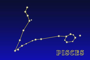 Balık Takımyıldızı. Balık takımyıldızının bir tasviri. Kova ve Koç takımyıldızı arasında büyük bir burç takımyıldızı var. Balık burcunun en parlak yıldızları iki zincir oluşturur