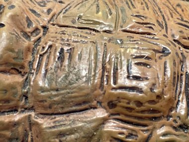 Kaplumbağa panzier 'in arka plan dokusu. Bir hayvan kaplumbağasının kabuğunun dokusunun fotoğrafı.