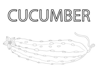 Çocuklar için salatalık boyama ve İngilizce 'de salatalık kelimesi. Sebze salatalığı ve salatalık kelimesini İngilizcede tırmıklıyoruz. Salatalık boyası ve salatalık kelimesi. Çocuklar için boyama sebze öğretir. İngilizce 'de salatalık