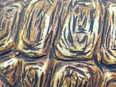 Soyut arka plan kaplumbağa panzyr. Kahverengi soyut arka plan panzyr hayvan kaplumbağası