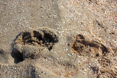 Büyük ayakların kumdaki ayak izleri. Kum dokusu. Kumda ayak izleri.