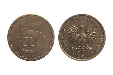 Sikke 5 Zloty 1986. Polonya sikkesi. Sikke 5 zloty 1986 Beyaz arkaplan üzerinde Ters ve Ters