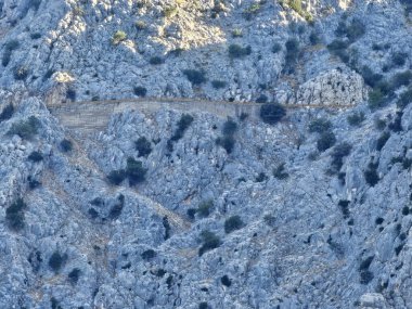 Hırvatistan 'da yeşil çalılar ve tünele giden dolambaçlı bir yolun yer aldığı bir dağ manzarasının fotoğrafı. Seyahat fotoğrafçılığı, manzara manzaraları, doğa keşfi, yol gezisi konseptleri ve Avrupa manzara çizimleri için mükemmel..