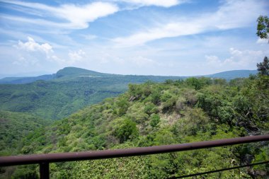 Guadalajara hayvanat bahçesindeki gondoldan bir manzara..