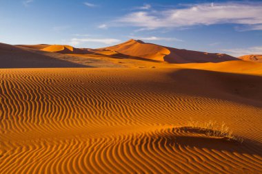 Namib Çölü - Sossusvlei 'deki kum tepeleri