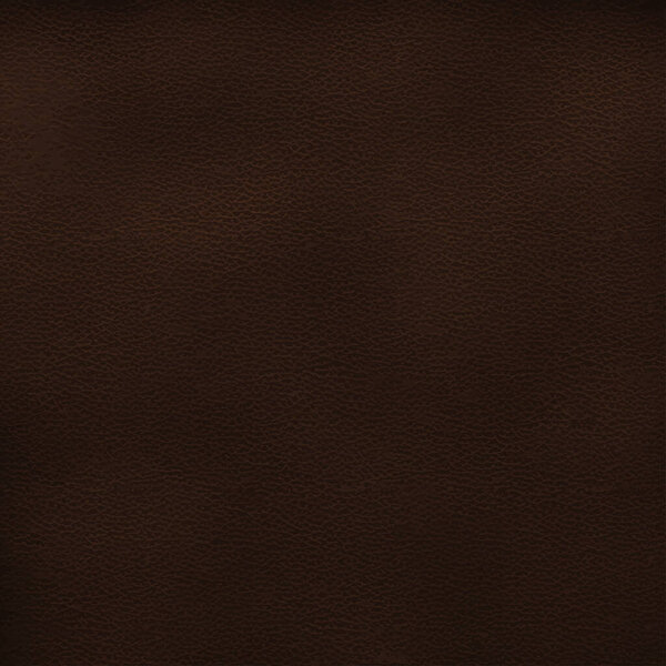 The texture of genuine leather is brown. Vector illustration