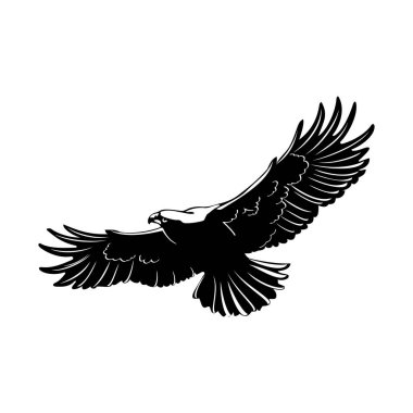 Cesur bir altın kartal, şahin ya da kartal avlar, gökyüzünde uçar.