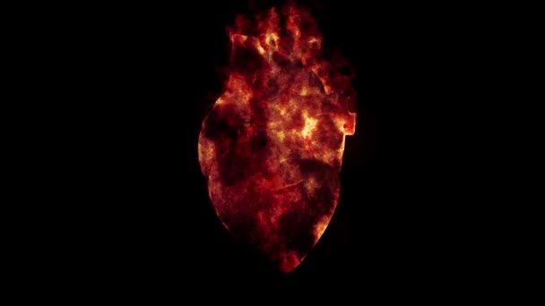 Serce Ogniu Realistyczny Ogień Przy Animacji Serca Rozdzielczość — Wideo stockowe