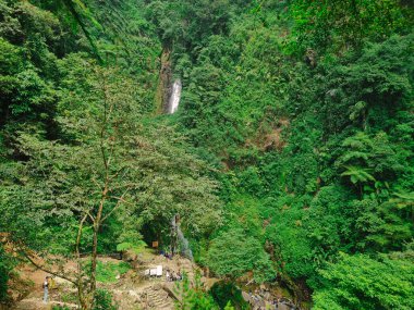 Uzakta şelaleli Bogor Endonezya 'daki yemyeşil yağmur ormanları, biyolojik çeşitliliğe sahip tropikal ormanlar.