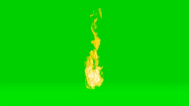 Відео Вогонь Зелений Екран Відео Анімаційний Вогонь — стокове відео