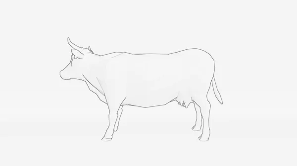 Contorno Vaca Línea Vaca Dibujo Line Art Amd Illustration —  Fotos de Stock