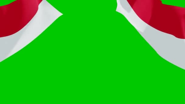 Die Indonesische Flagge Weht Animation Der Indonesischen Flagge Green Screen — Stockvideo