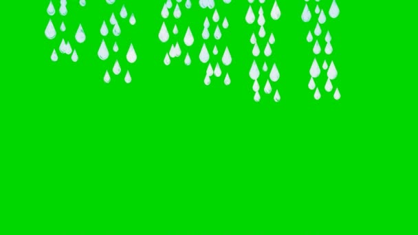 Animazione Pioggia Schermo Verde Rallentatore Video Pioggia Animaton — Video Stock