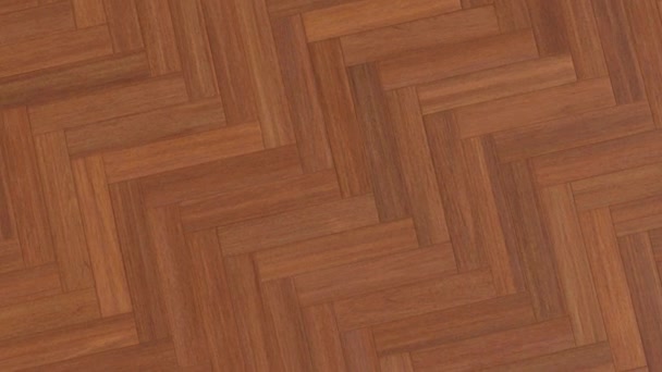 木材のクローズアップビュー 内部の軽い自然なオークの木の質の構造 木製の床および壁のカバー — ストック動画