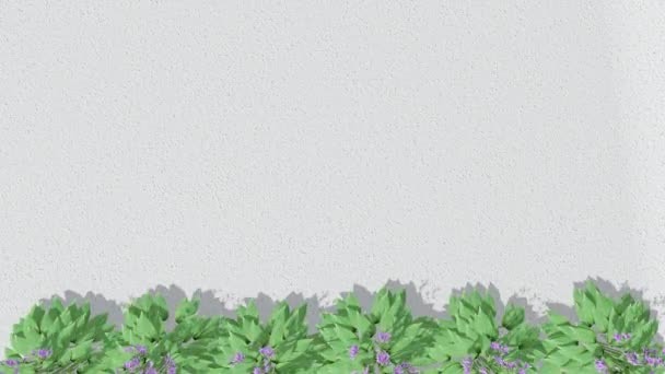 Zöld Növény Tükröződései Természetes Napárnyék Fedi Fehér Textúra Fal Háttér — Stock videók