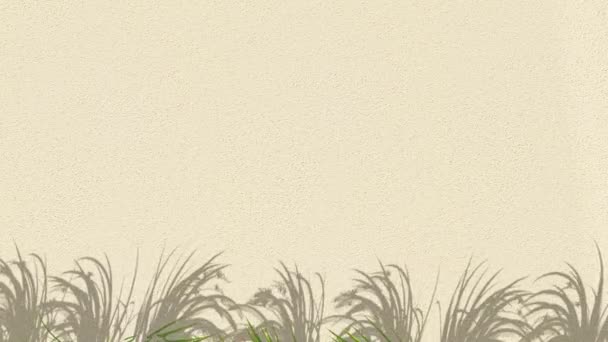 Абстрактний Силует Тіньовий Білий Фон Рослини Природного Листя Падає Стіну — стокове відео