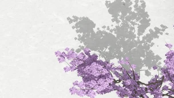 Abstrato Silhueta Sombra Fundo Branco Planta Flor Natural Caindo Parede — Vídeo de Stock