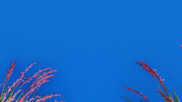 Анімовані Гілки Листя Вітрі Синьому Фоні Клавішні Зелений Фон Зеленому — стокове відео